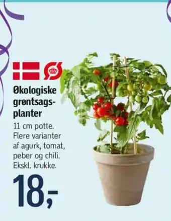 Føtex Økologiske grøntsags- planter tilbud
