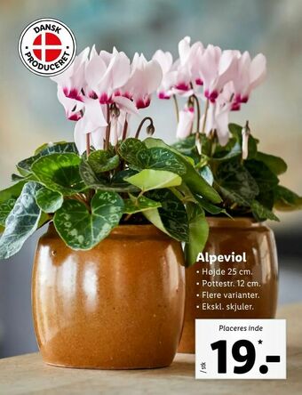 Let-Køb Alpeviol tilbud