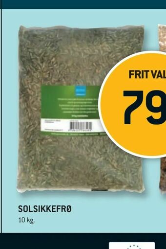 XL-BYG Solsikkefrø tilbud