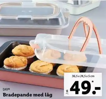 Lidl Bradepamde Med Låg tilbud