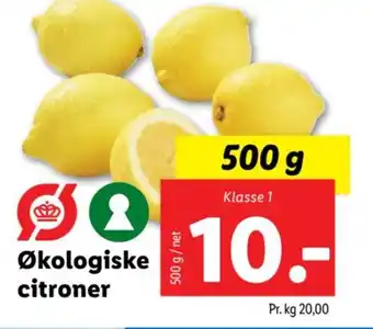 Lidl Økologiske citroner tilbud