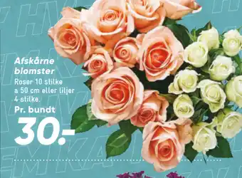 Bilka Afskårne blomster tilbud