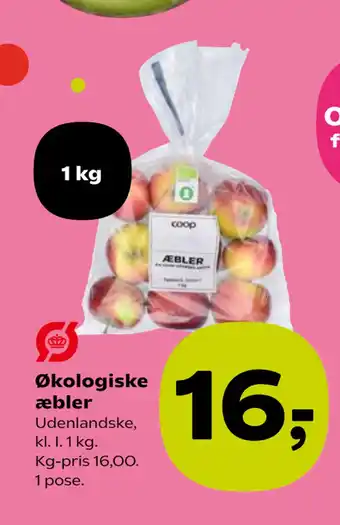 Kvickly Økologiske æbler tilbud