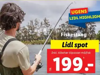 Lidl Fiskestang tilbud