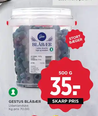 MENY GESTUS BLÅBÆR tilbud