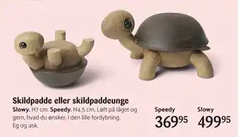 Kop & Kande Skildpadde eller skildpaddeunge tilbud