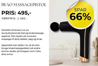 IWAO MASSAGEPISTOL