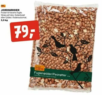 Jordnødder