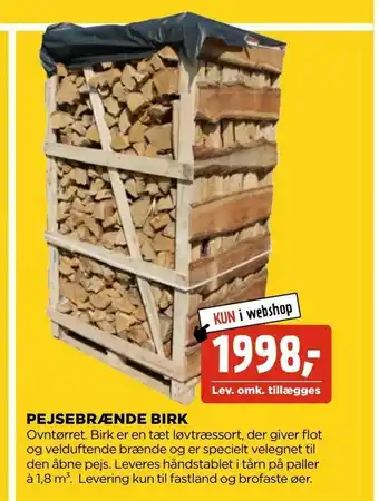 Pejsebrænde birk