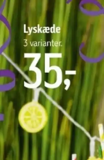 Føtex Lyskæde tilbud