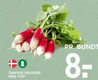 DANSKE RADISER MED TOP