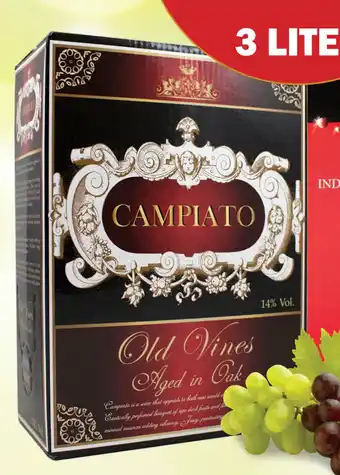 Campiato