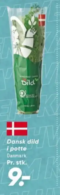 Bilka Dansk dild i potte tilbud