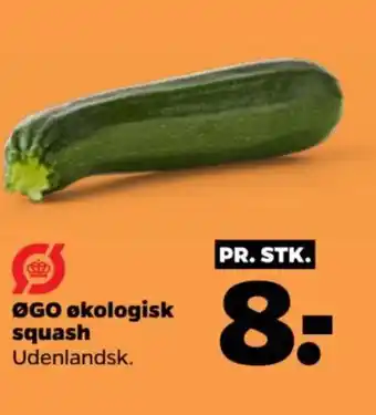 Netto ØGO økologisk squash tilbud