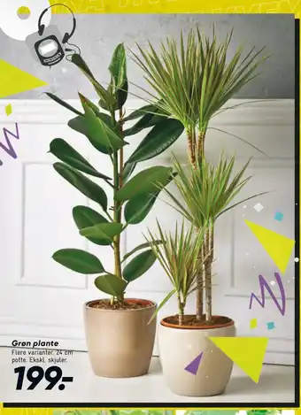 Grøn plante