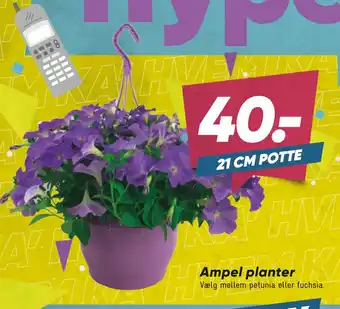 Bilka Ampel planter tilbud