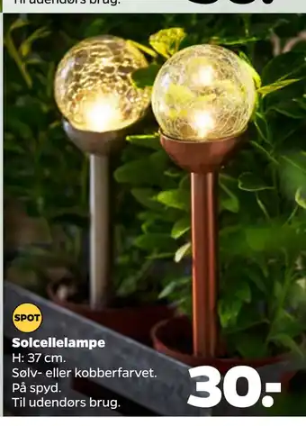 Netto Solcellelampe tilbud