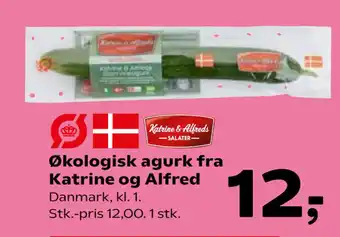 SuperBrugsen Økologisk agurk fra Katrine og Alfred tilbud