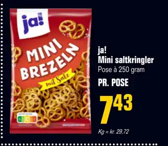 Poetzsch Padborg ja! Mini saltkringler tilbud