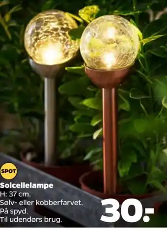 Netto Solcellelampe tilbud