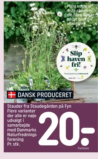 REMA 1000 Stauder fra Staudegården på Fyn Flere varianter der alle er nøje udvalgt i samarbejde med Danmarks Naturfrednings forening tilbud