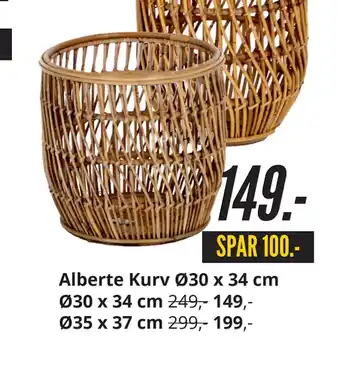 Alberte Kurv