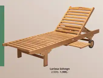 Larissa Solvogn