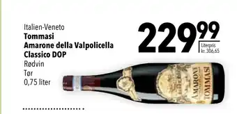 Citti Tommasi Amarone della Valpolicella Classico DOP tilbud