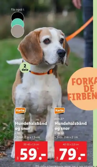 Lidl Hundehalsbånd og snor tilbud