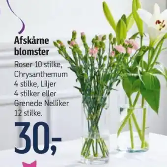 Føtex Afskårne blomster tilbud