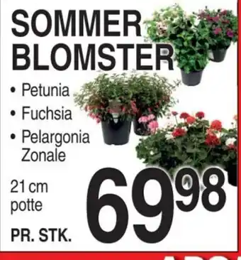 ABC Lavpris SOMMER BLOMSTER tilbud