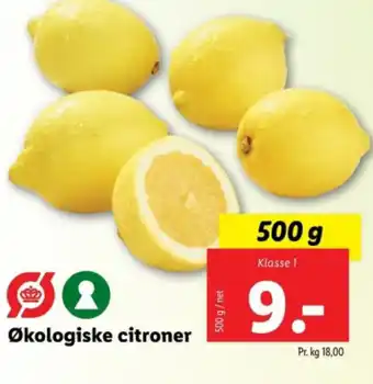 Lidl Økologiske citroner tilbud