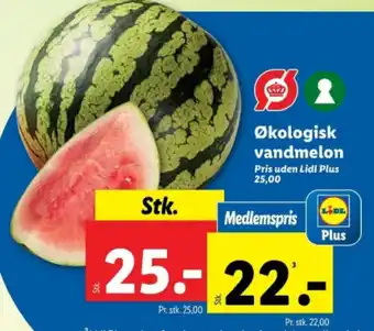 Lidl Økologisk vandmelon tilbud