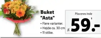 Lidl Buket "Asta" tilbud