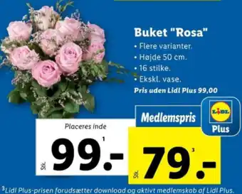 Lidl Buket "Rosa" tilbud