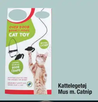 Kattelegetøj Mus m. Catnip