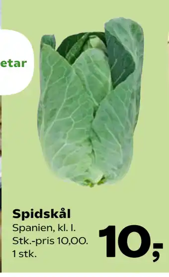 SuperBrugsen Spidskål tilbud