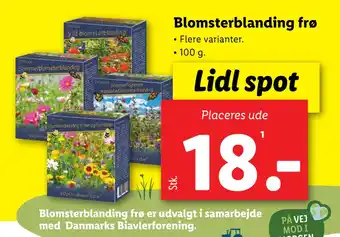 Lidl Blomsterblanding frø tilbud