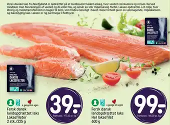 Fersk dansk landopdrættet laks Laksefileter 2 stk./225 g