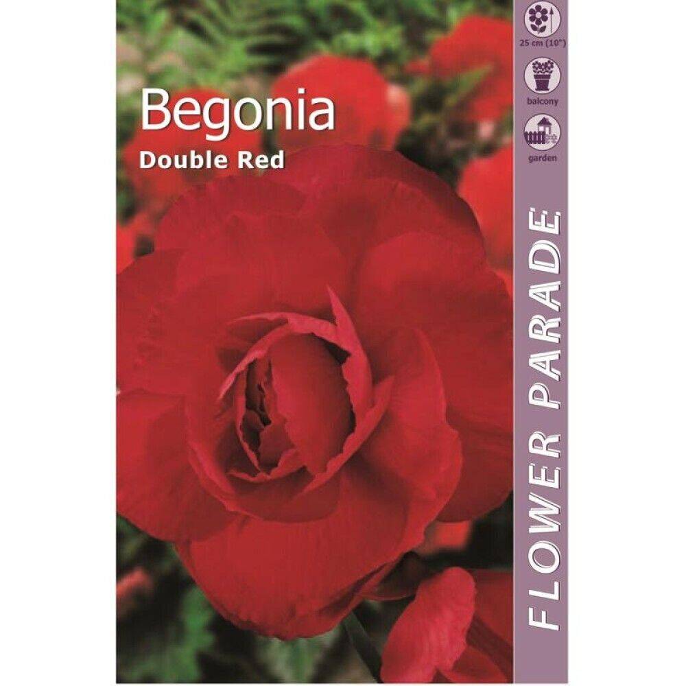 Kapiteyn blomsterløg begonia Double Red 1 stk tilbud hos Bauhaus