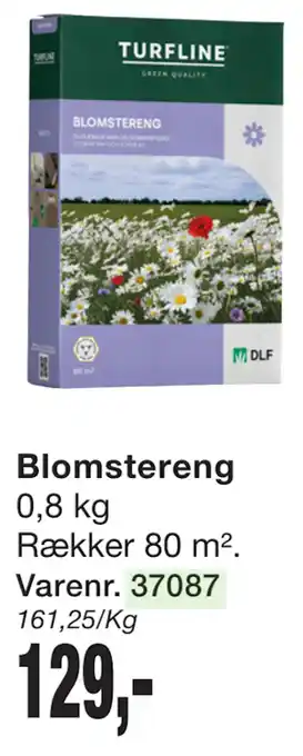 Harald Nyborg Blomstereng tilbud