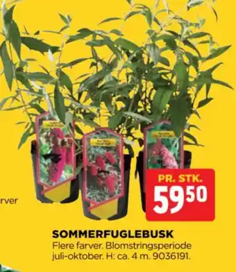 jem & fix SOMMERFUGLEBUSK tilbud