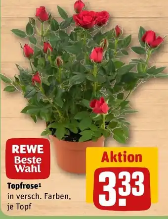 REWE Topfrose tilbud