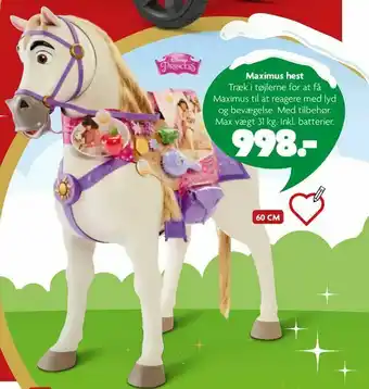 Maximus hest