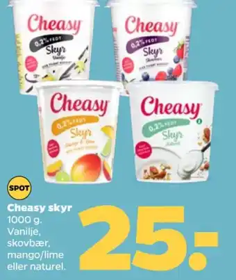 Netto Cheasy skyr tilbud