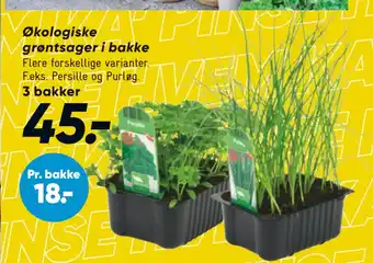 Bilka Økologiske grøntsager i bakke tilbud