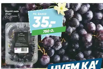 Bilka Stenfri røde druer tilbud