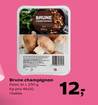 Kvickly Brune champignon tilbud