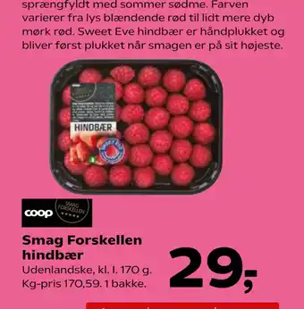 Kvickly Smag Forskellen hindbær tilbud