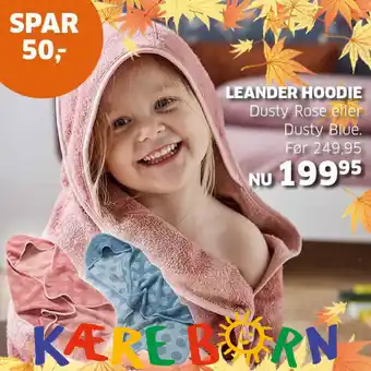 Leander Hoodie